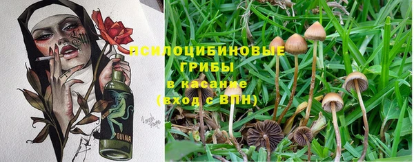 а пвп мука Киренск
