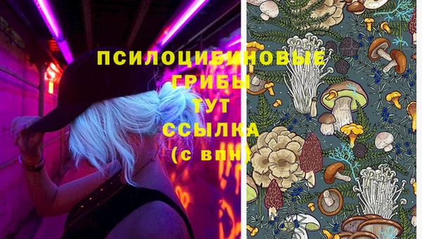 дурь Карпинск