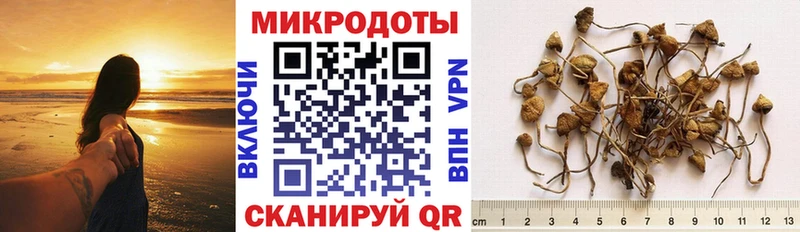 Псилоцибиновые грибы GOLDEN TEACHER  Собинка 